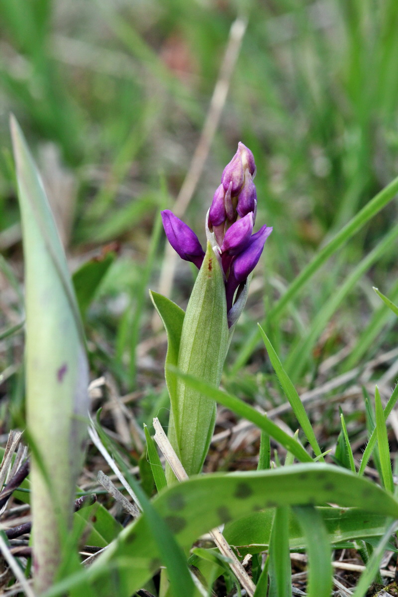 2013_05_06_00011632_Bildgr��e �ndern