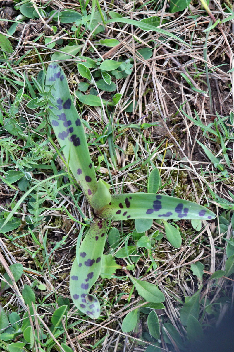 2013_05_06_00011657_Bildgr��e �ndern