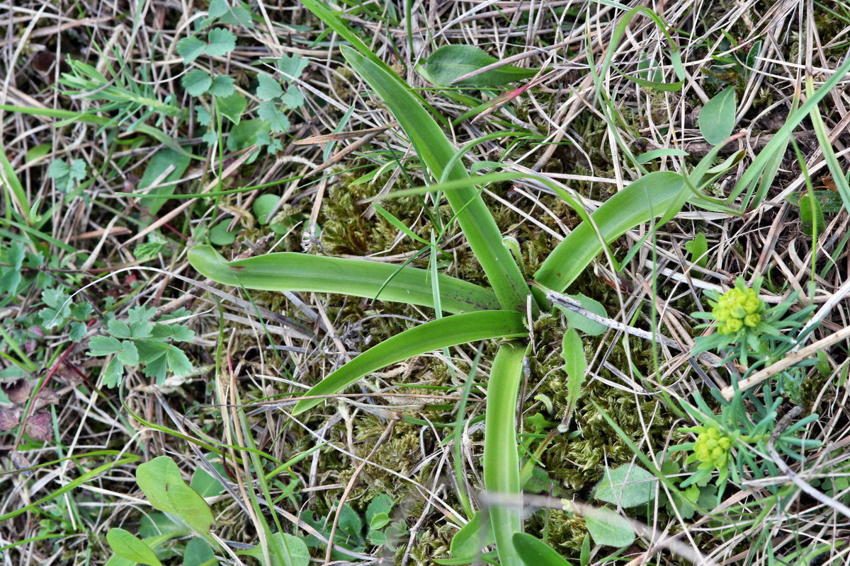 2013_05_06_00011660_Bildgr��e �ndern