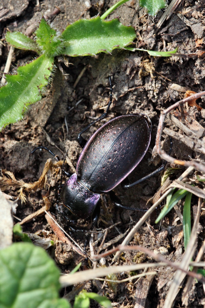 2013_05_06_00011706_Bildgr��e �ndern