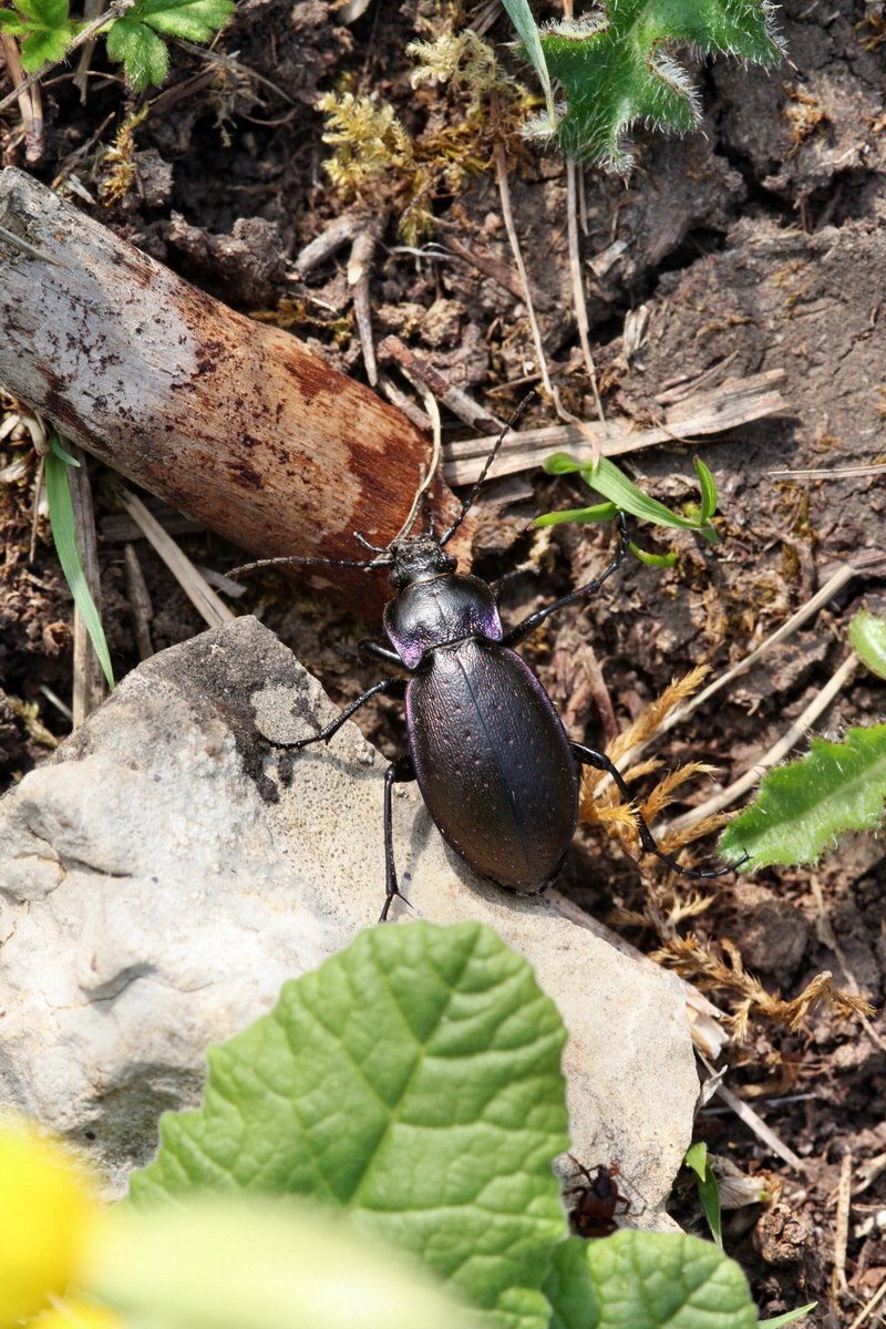 2013_05_06_00011709_Bildgr��e �ndern