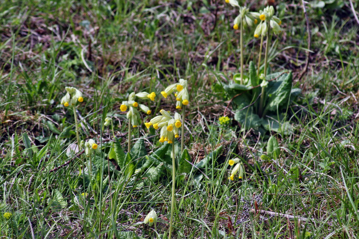 2013_05_06_00011849_Bildgr��e �ndern