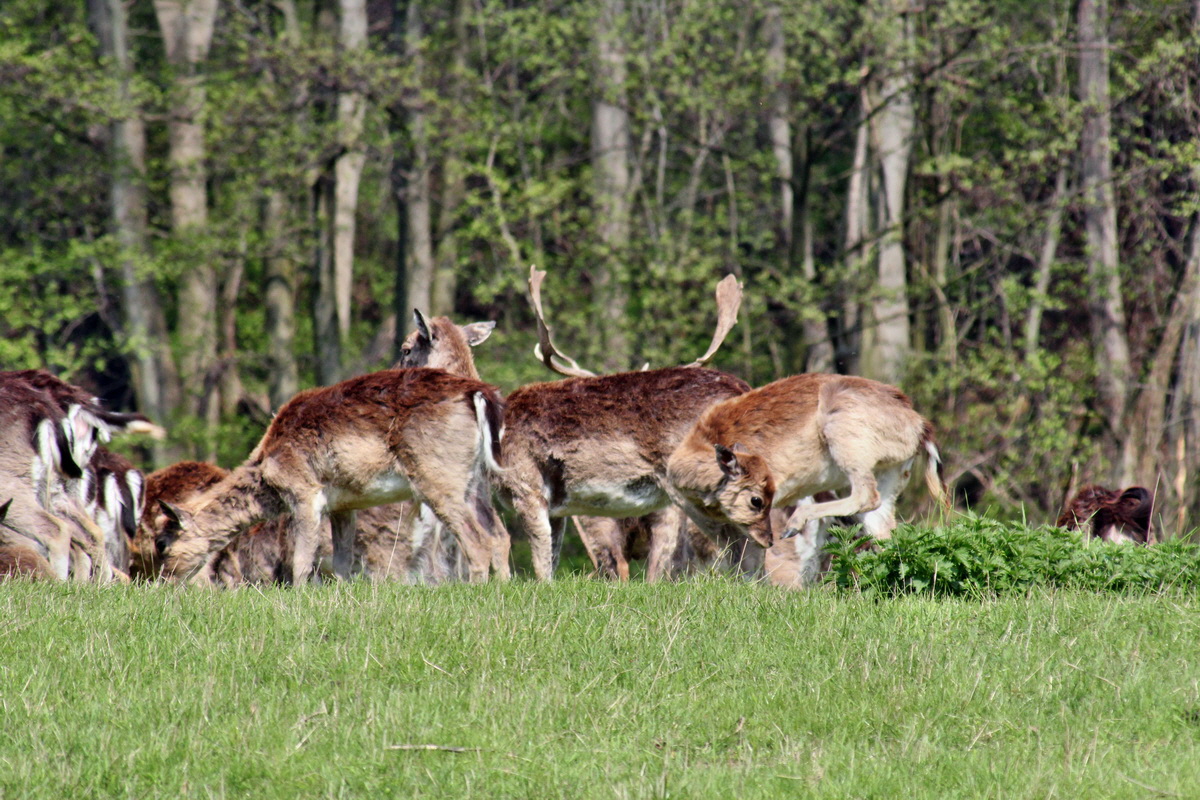 2013_05_06_00011852_Bildgr��e �ndern