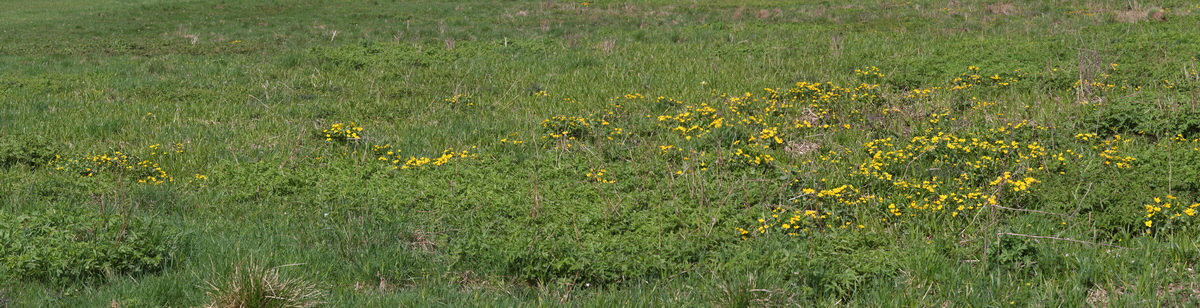 [Group 8]-2013_05_09_00012042_2013_05_09_00012048-7 images_Bildgr��e �ndern