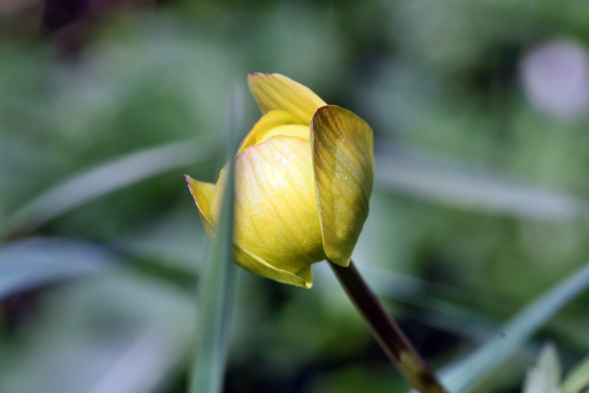 2013_05_09_00011873_Bildgr��e �ndern