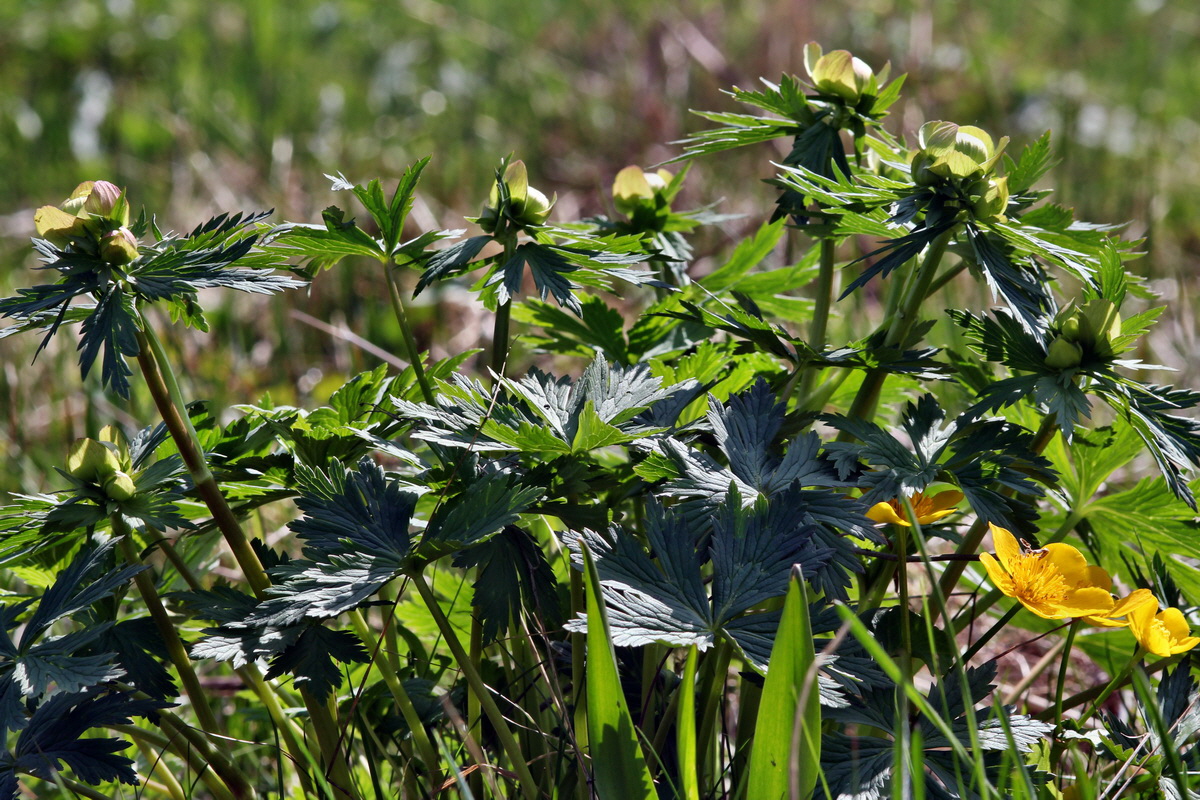 2013_05_09_00011885_Bildgr��e �ndern