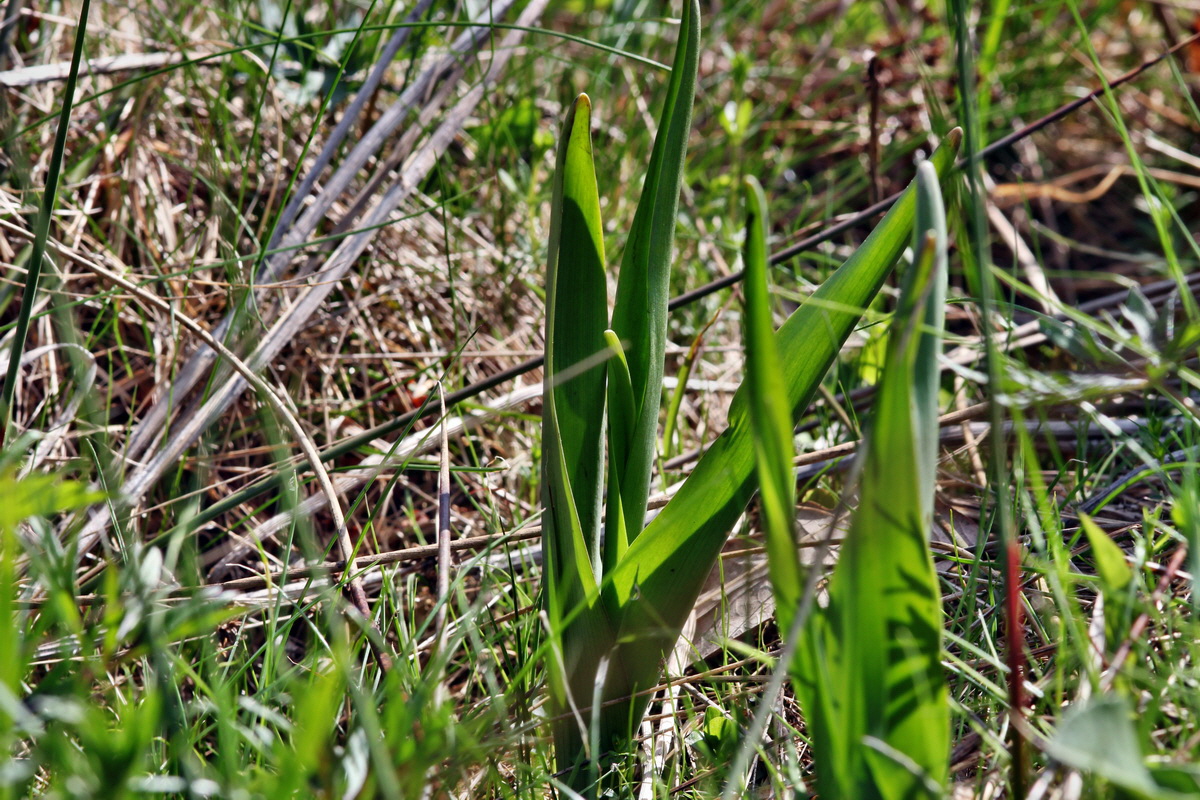 2013_05_09_00011890_Bildgr��e �ndern