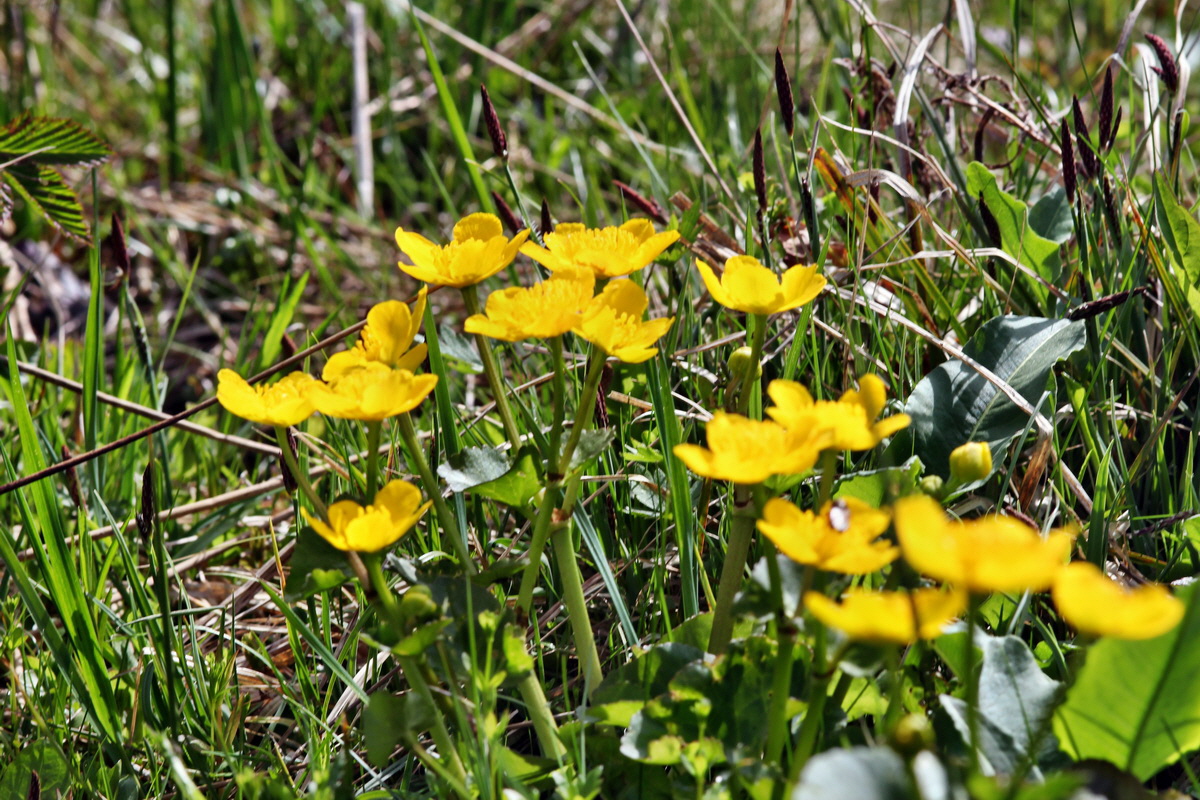 2013_05_09_00011895_Bildgr��e �ndern