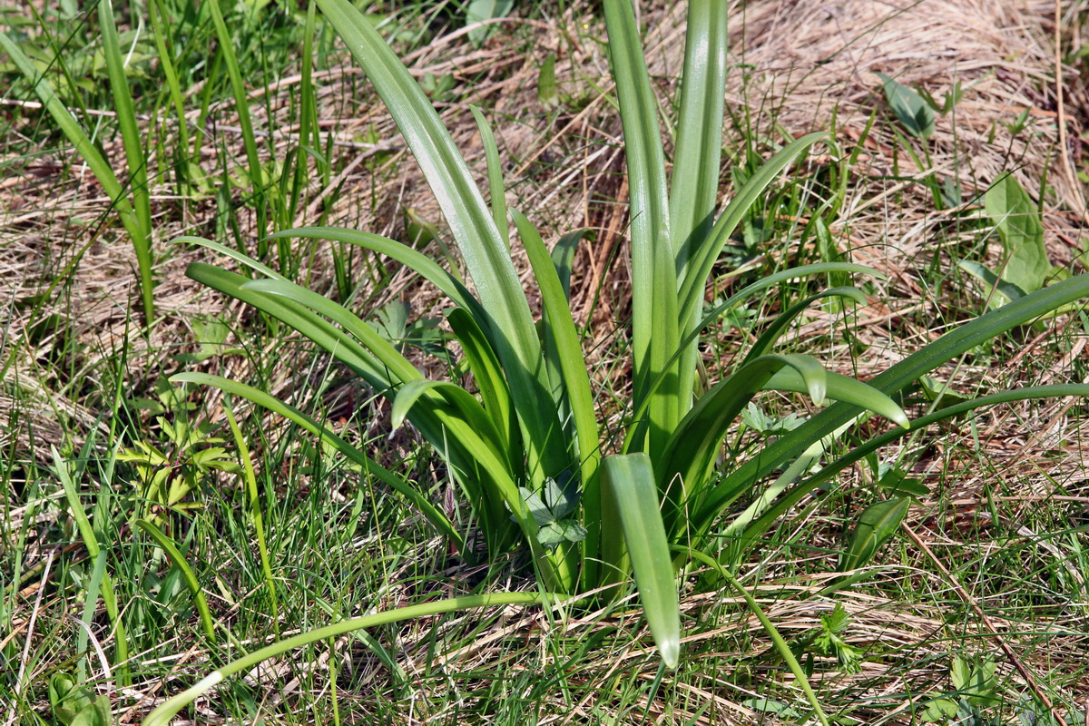 2013_05_09_00011898_Bildgr��e �ndern