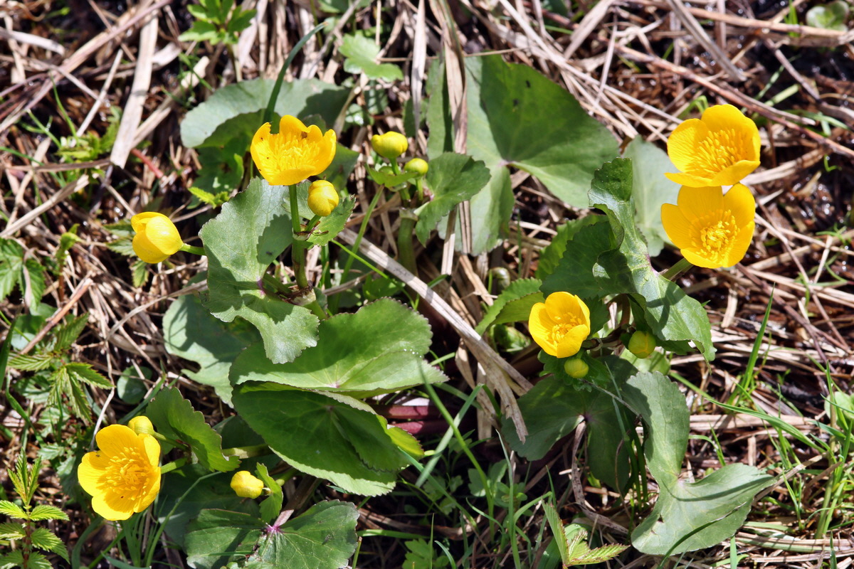 2013_05_09_00011917_Bildgr��e �ndern