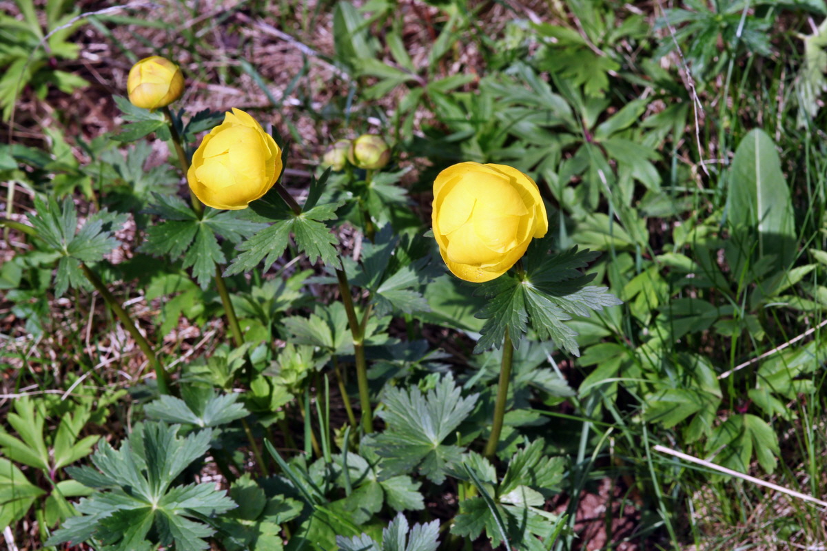 2013_05_09_00011923_Bildgr��e �ndern