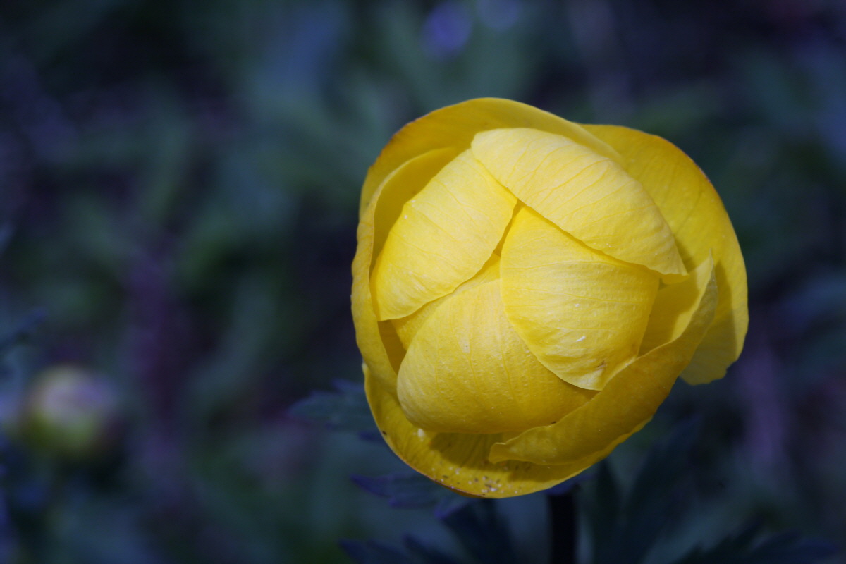 2013_05_09_00011925_Bildgr��e �ndern