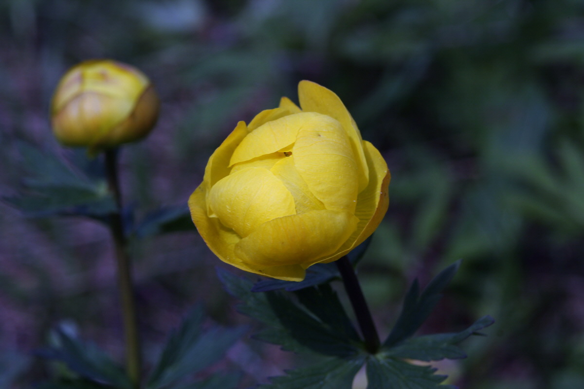 2013_05_09_00011928_Bildgr��e �ndern