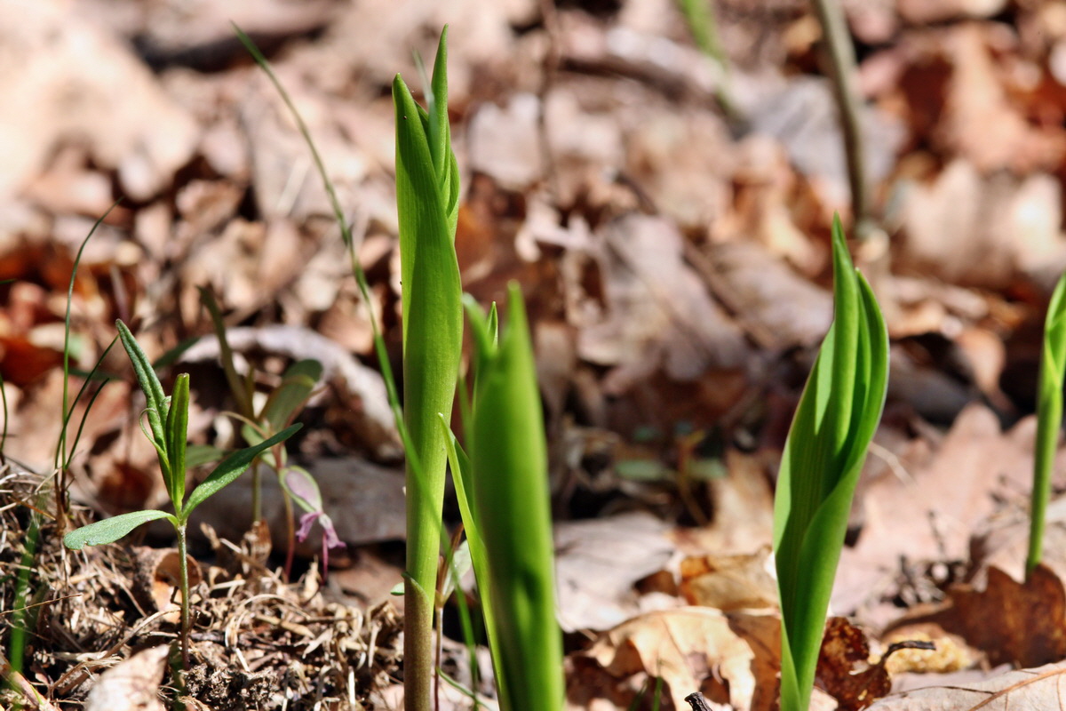 2013_05_09_00011946_Bildgr��e �ndern