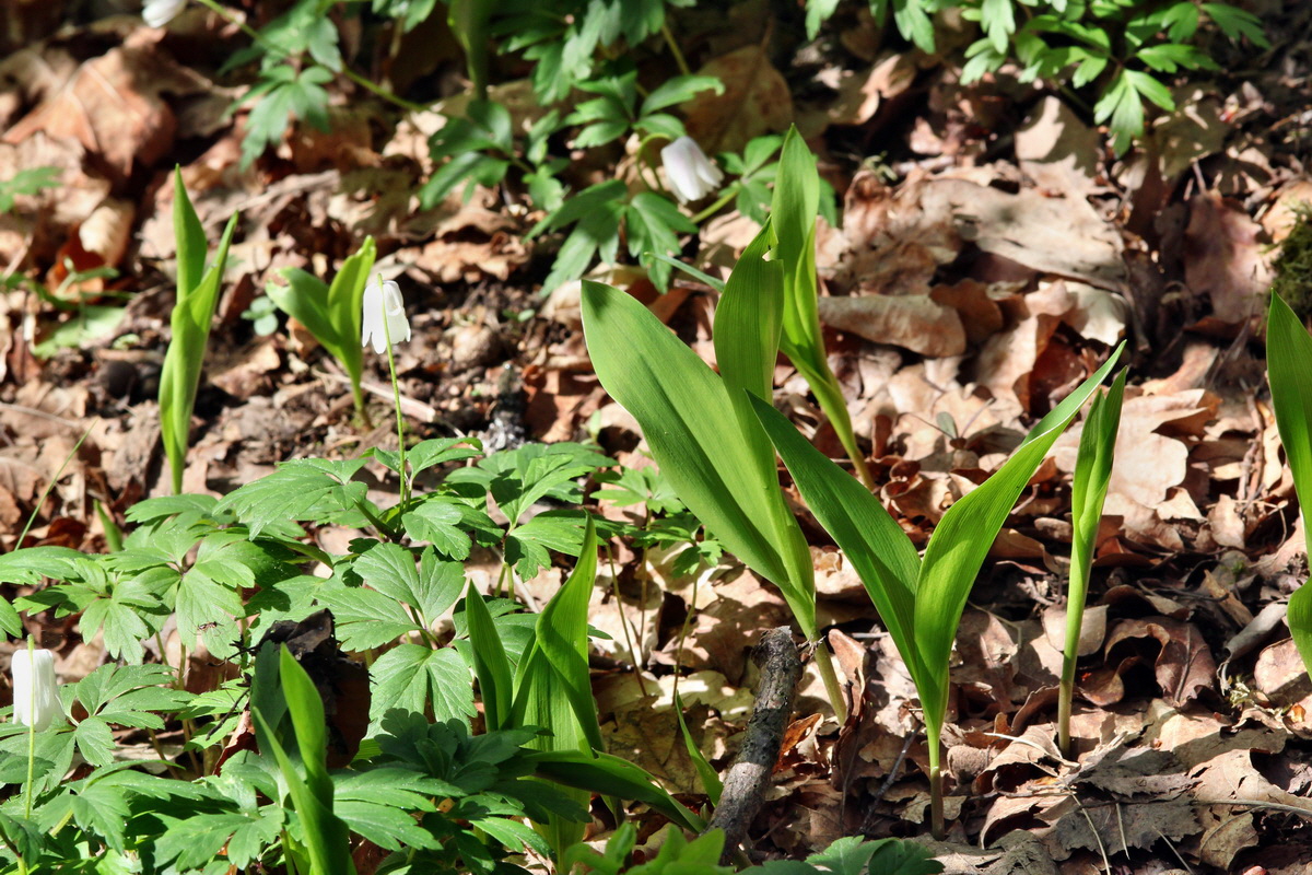 2013_05_09_00011949_Bildgr��e �ndern