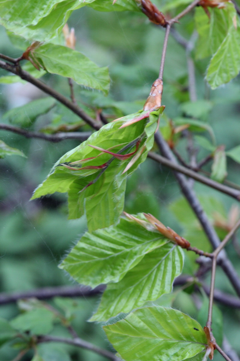 2013_05_09_00011954_Bildgr��e �ndern