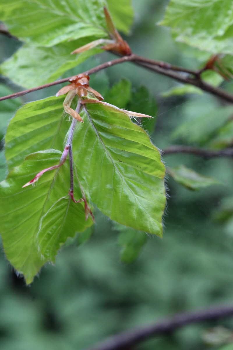 2013_05_09_00011961_Bildgr��e �ndern