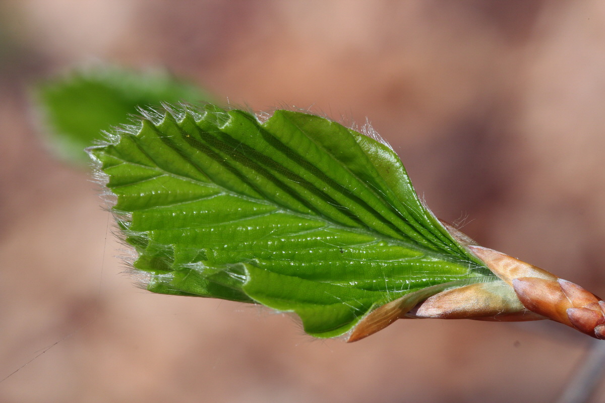 2013_05_09_00011966_Bildgr��e �ndern