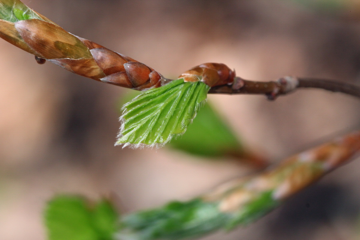 2013_05_09_00011969_Bildgr��e �ndern