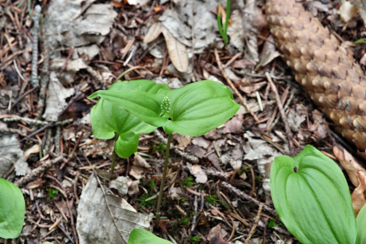 2013_05_09_00011985_Bildgr��e �ndern