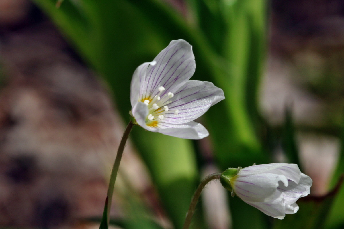 2013_05_09_00011995_Bildgr��e �ndern