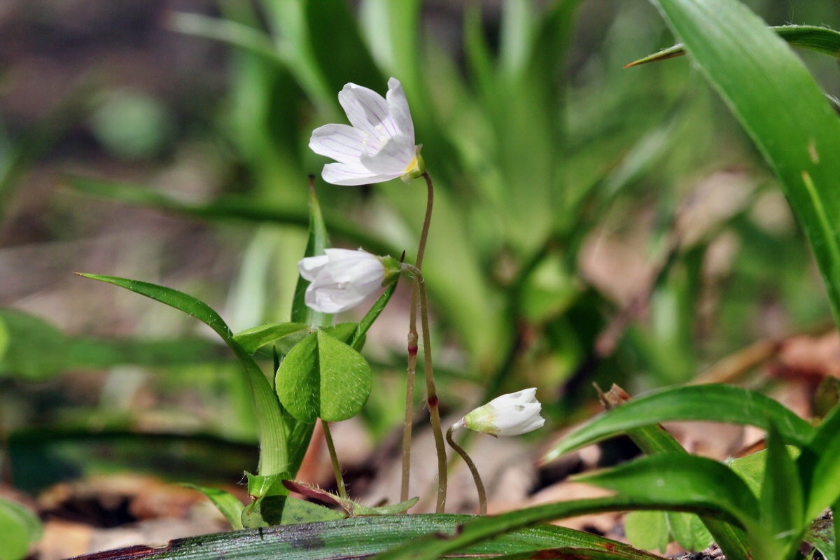 2013_05_09_00012000_Bildgr��e �ndern