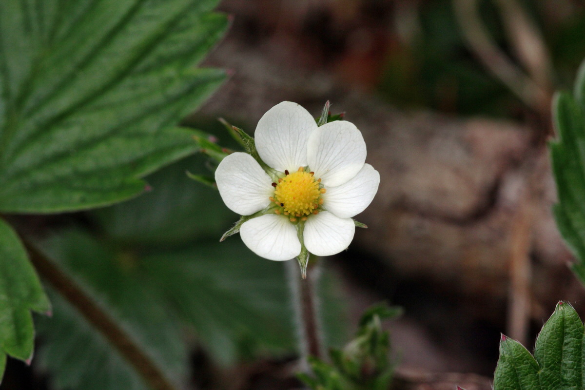 2013_05_09_00012013_Bildgr��e �ndern