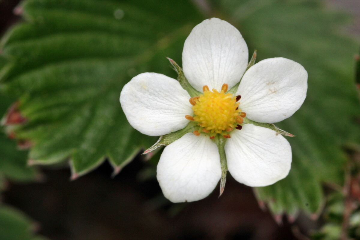 2013_05_09_00012016_Bildgr��e �ndern