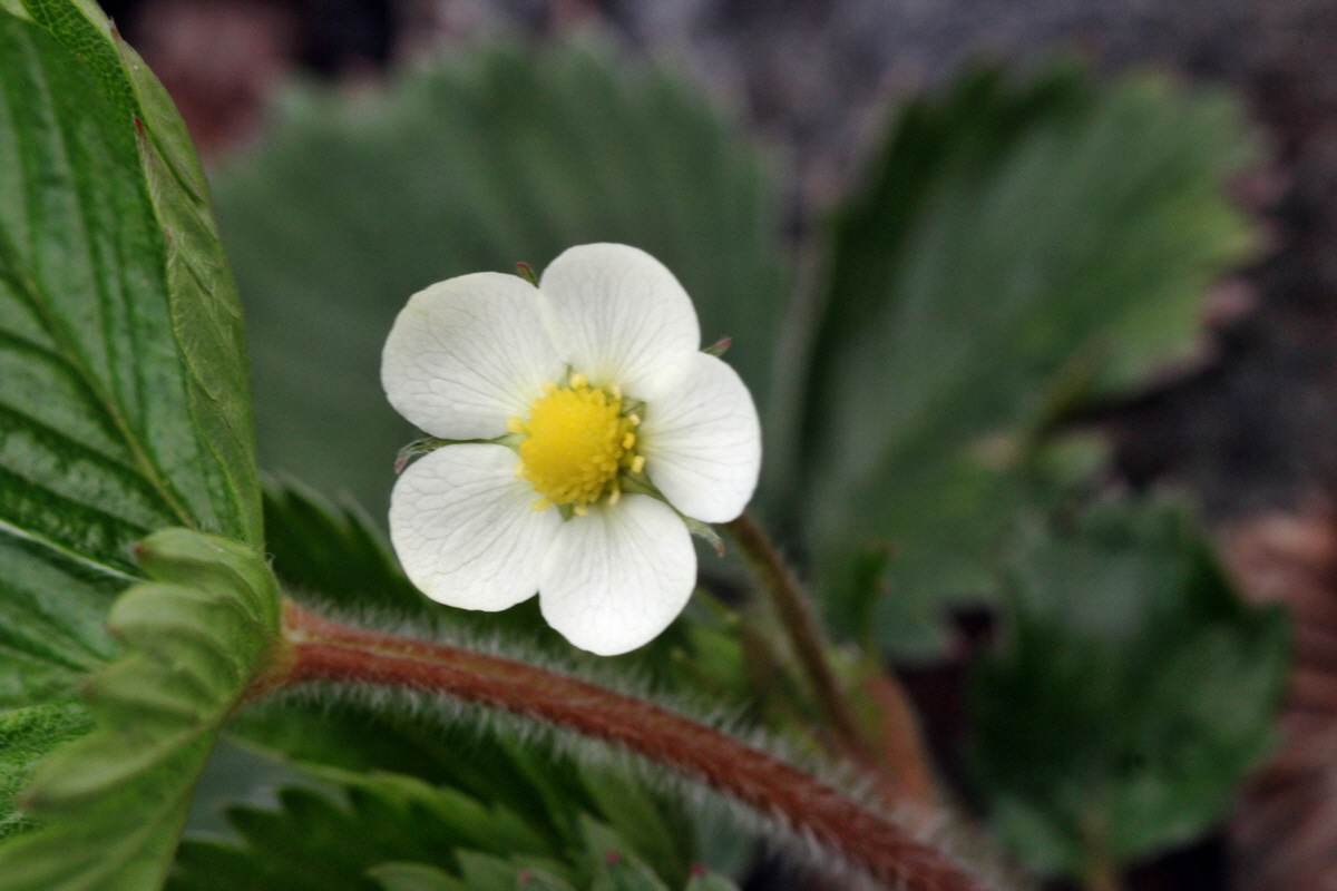 2013_05_09_00012020_Bildgr��e �ndern