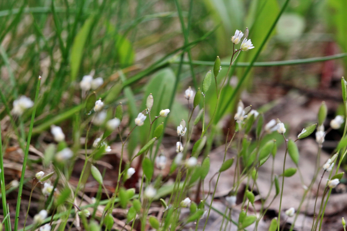 2013_05_09_00012038_Bildgr��e �ndern