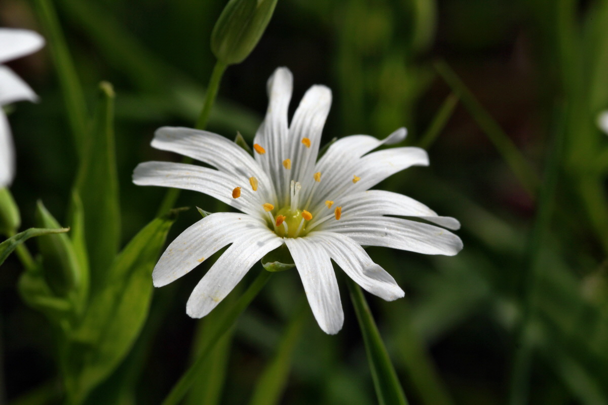 2013_05_09_00012051_Bildgr��e �ndern