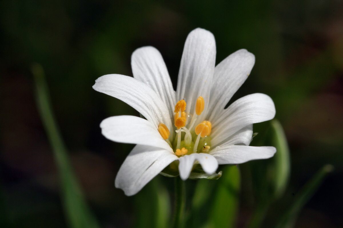 2013_05_09_00012057_Bildgr��e �ndern