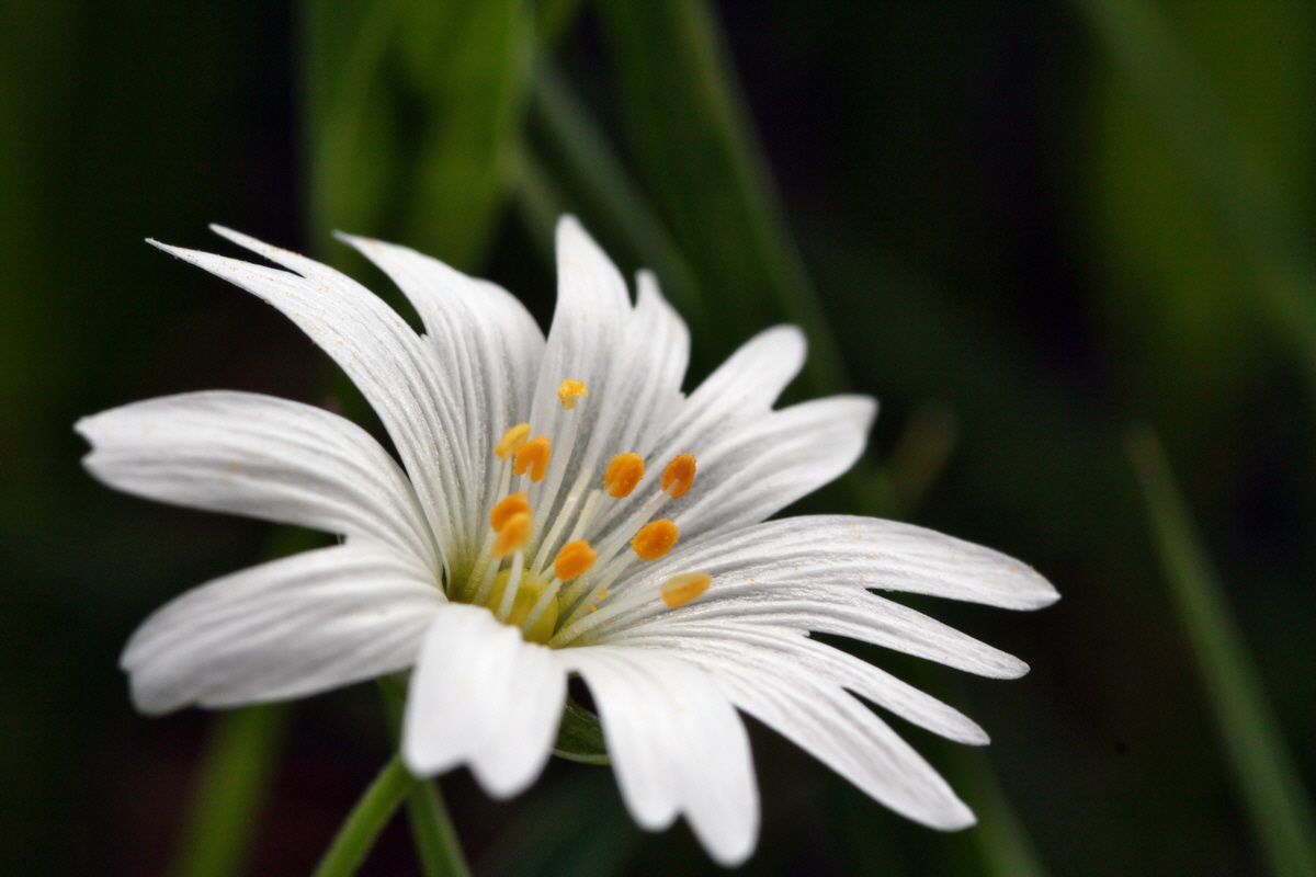 2013_05_09_00012064_Bildgr��e �ndern