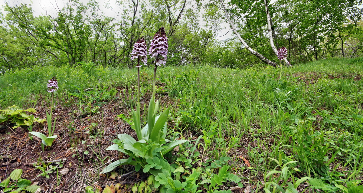 [Group 19]-2013_05_13_00014070_2013_05_13_00014071-2 images_Bildgr��e �ndern