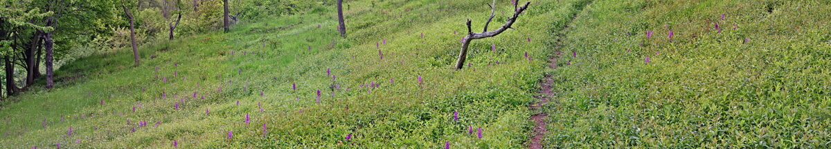 [Group 36]-2013_05_13_00013595_2013_05_13_00013653-46 images_Bildgr��e �ndern