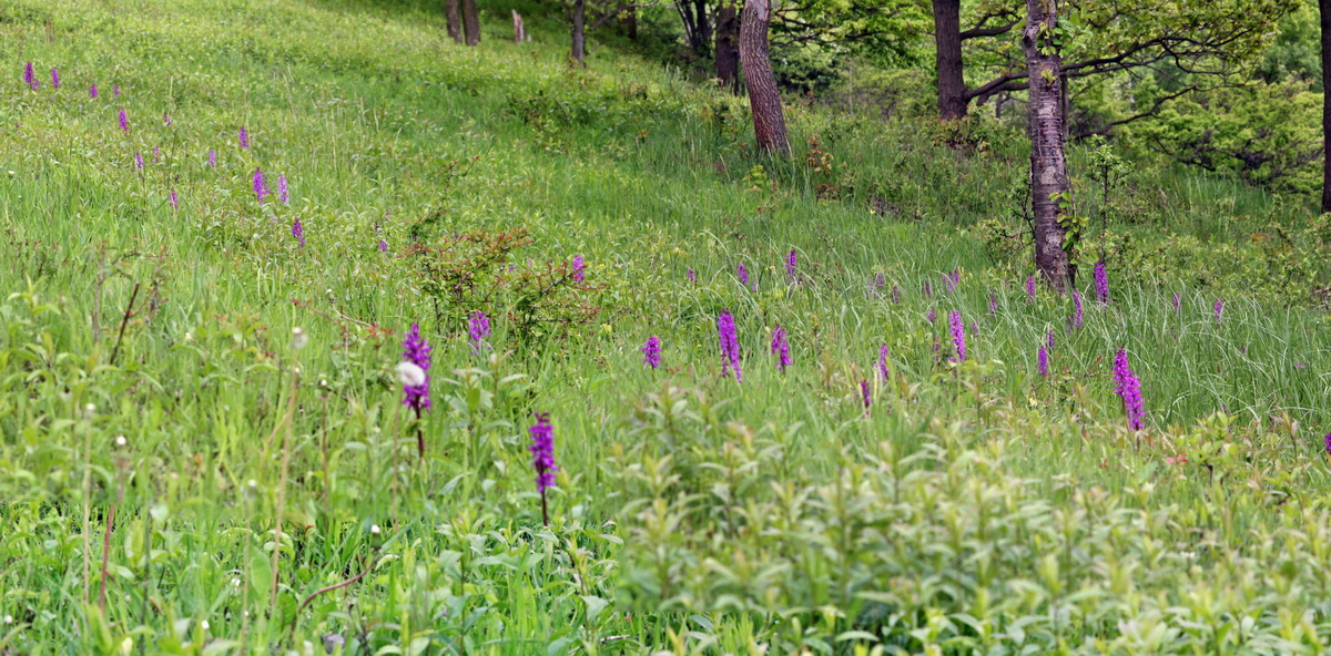 [Group 39]-2013_05_13_00013715_2013_05_13_00013726-12 images_Bildgr��e �ndern