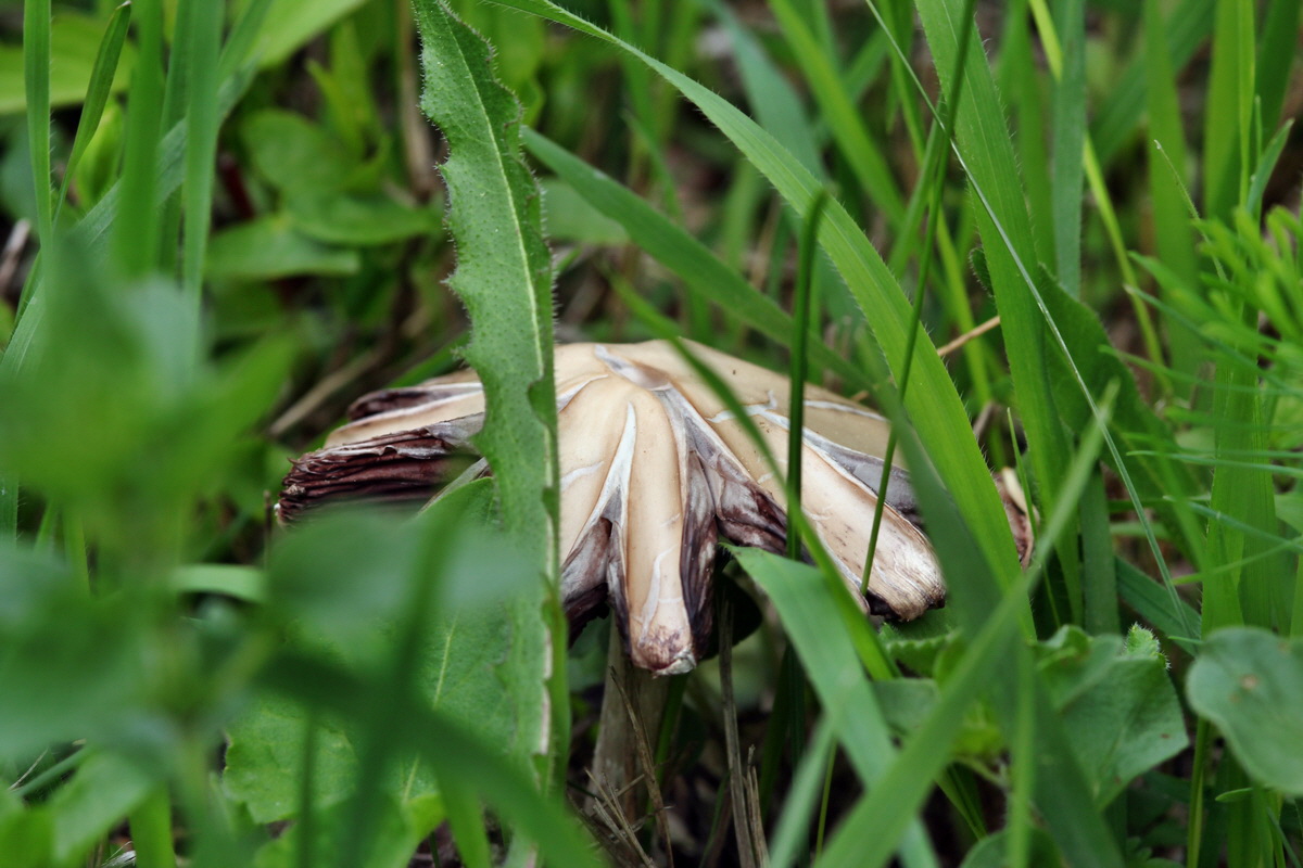 2013_05_13_00013567_Bildgr��e �ndern