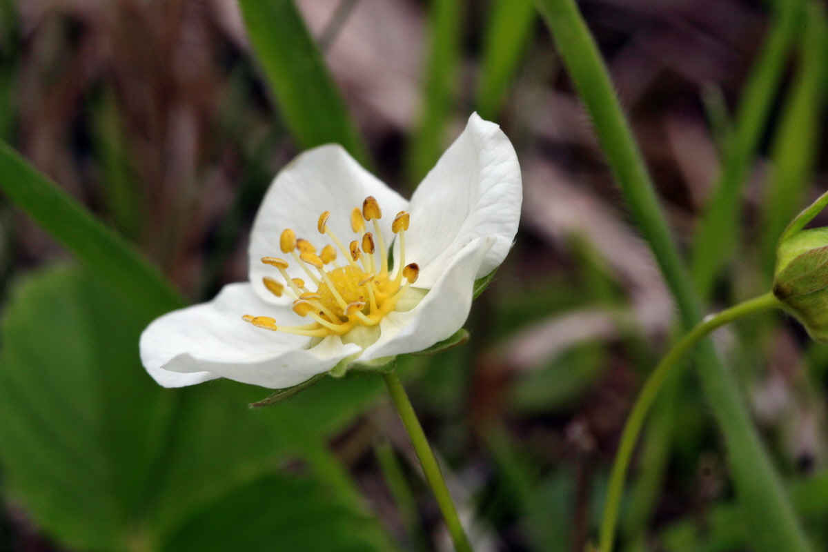 2013_05_13_00013571_Bildgr��e �ndern