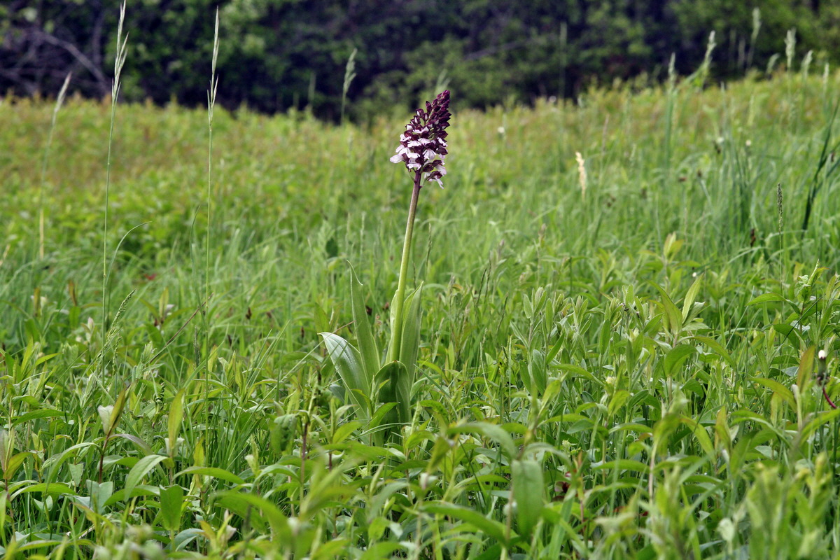 2013_05_13_00013577_Bildgr��e �ndern