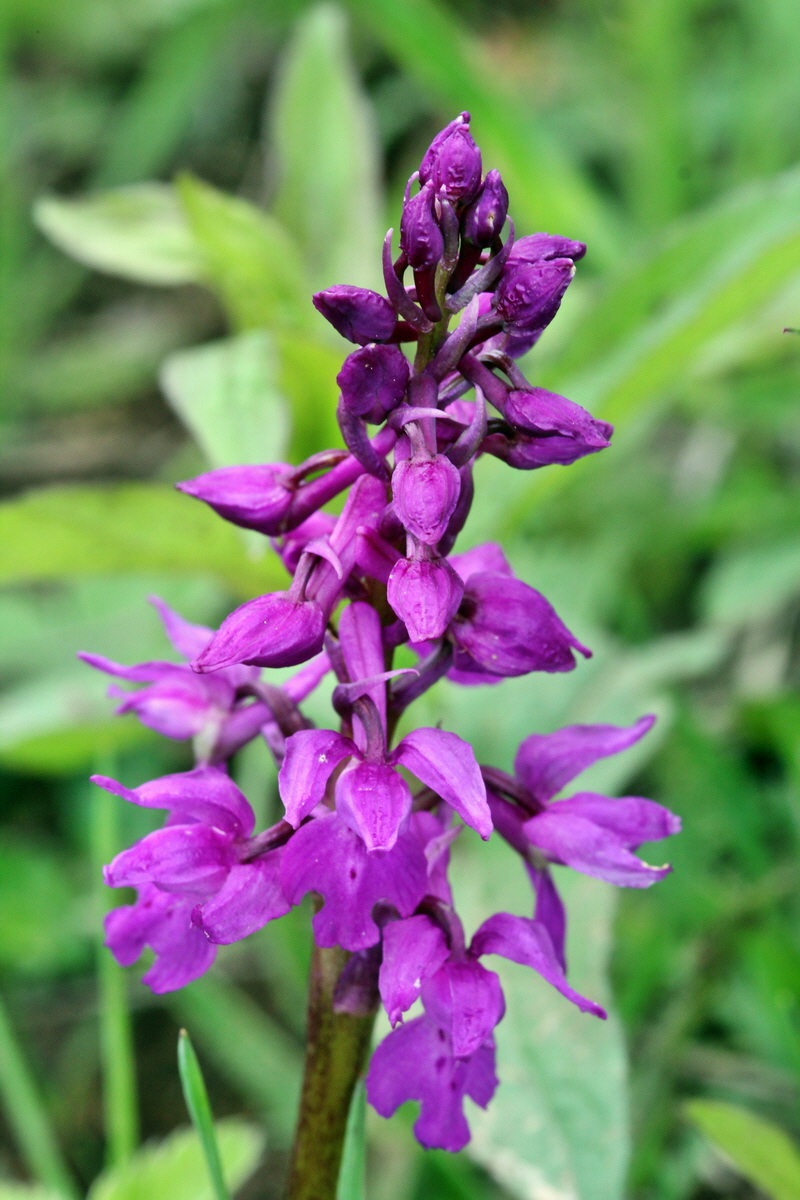 2013_05_13_00013678_Bildgr��e �ndern