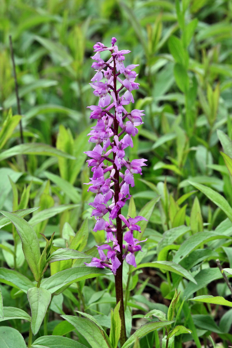 2013_05_13_00013682_Bildgr��e �ndern