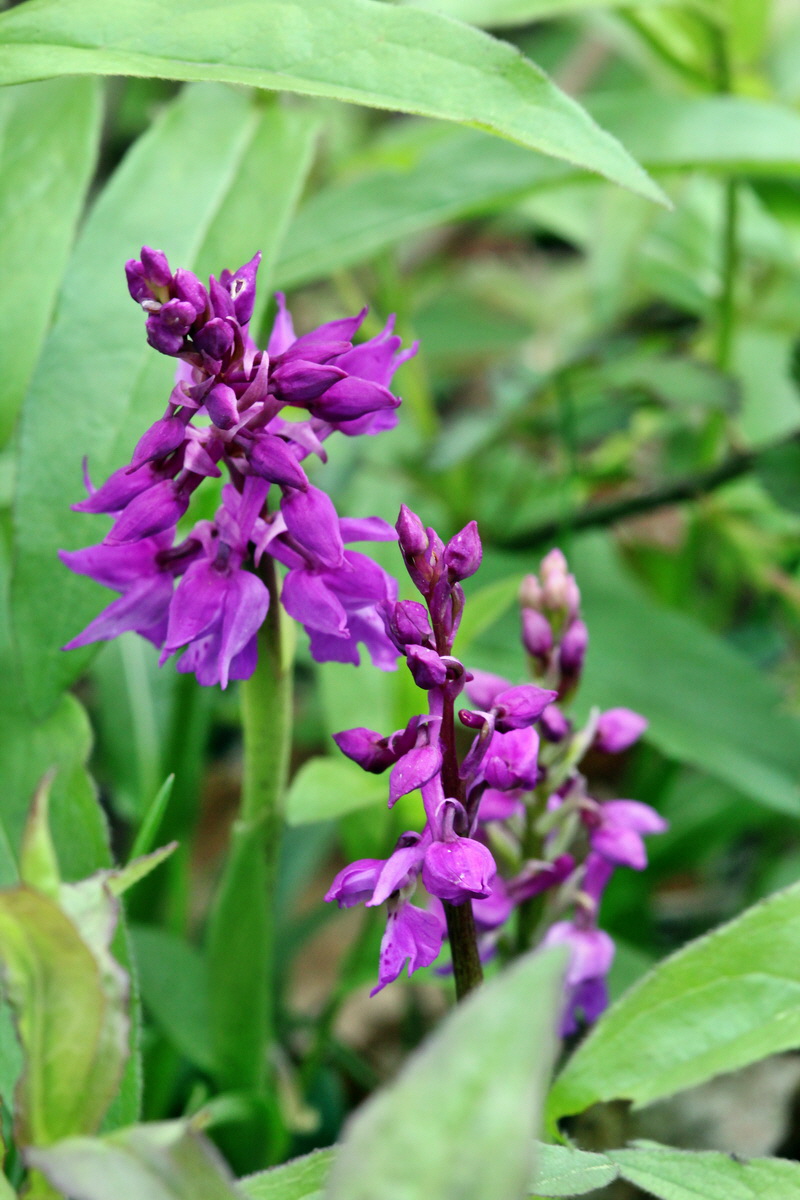 2013_05_13_00013689_Bildgr��e �ndern