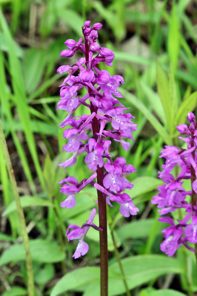 2013_05_13_00013926_Bildgr��e �ndern