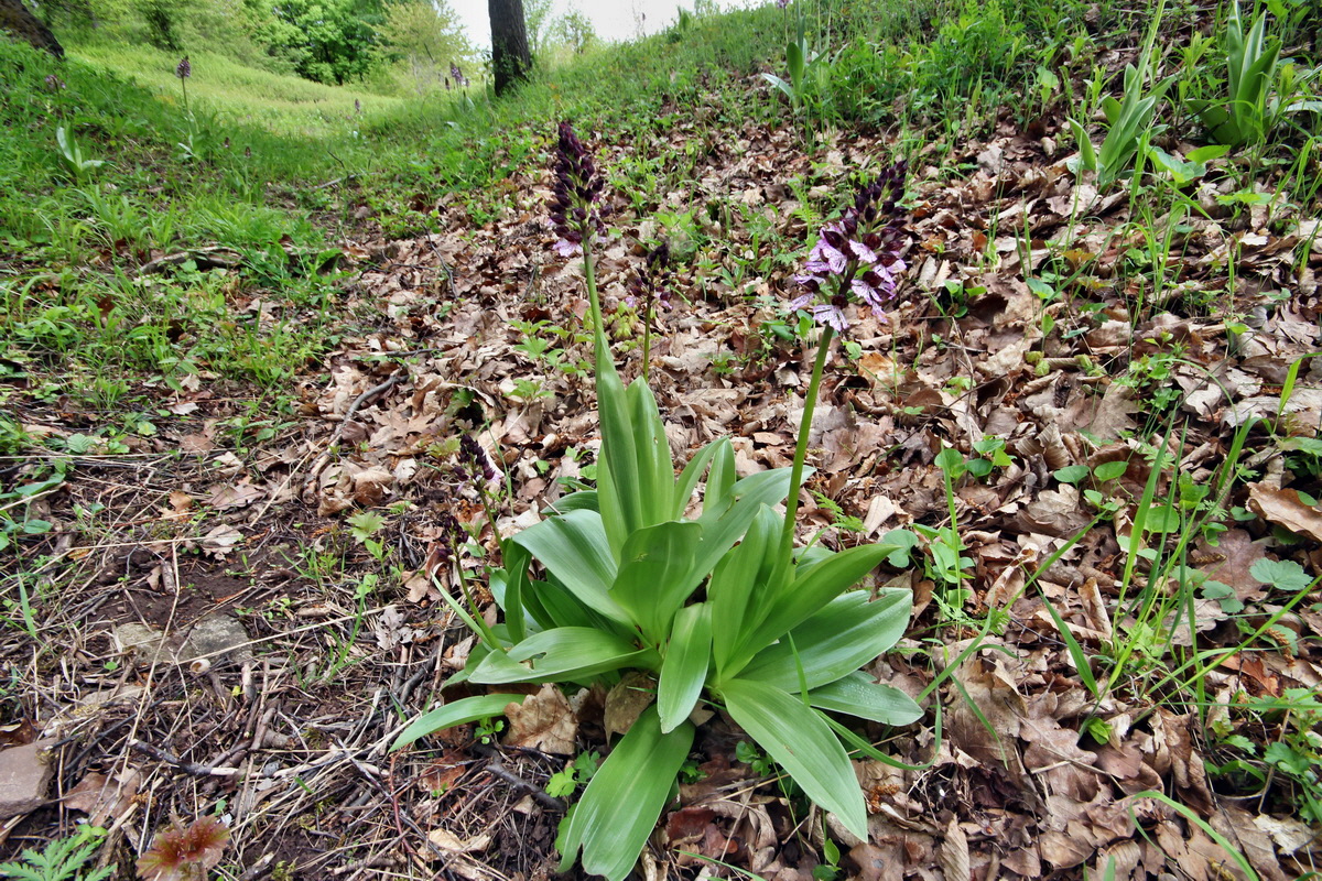 2013_05_13_00014064_Bildgr��e �ndern