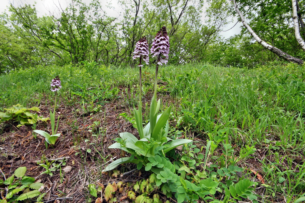 2013_05_13_00014070_Bildgr��e �ndern