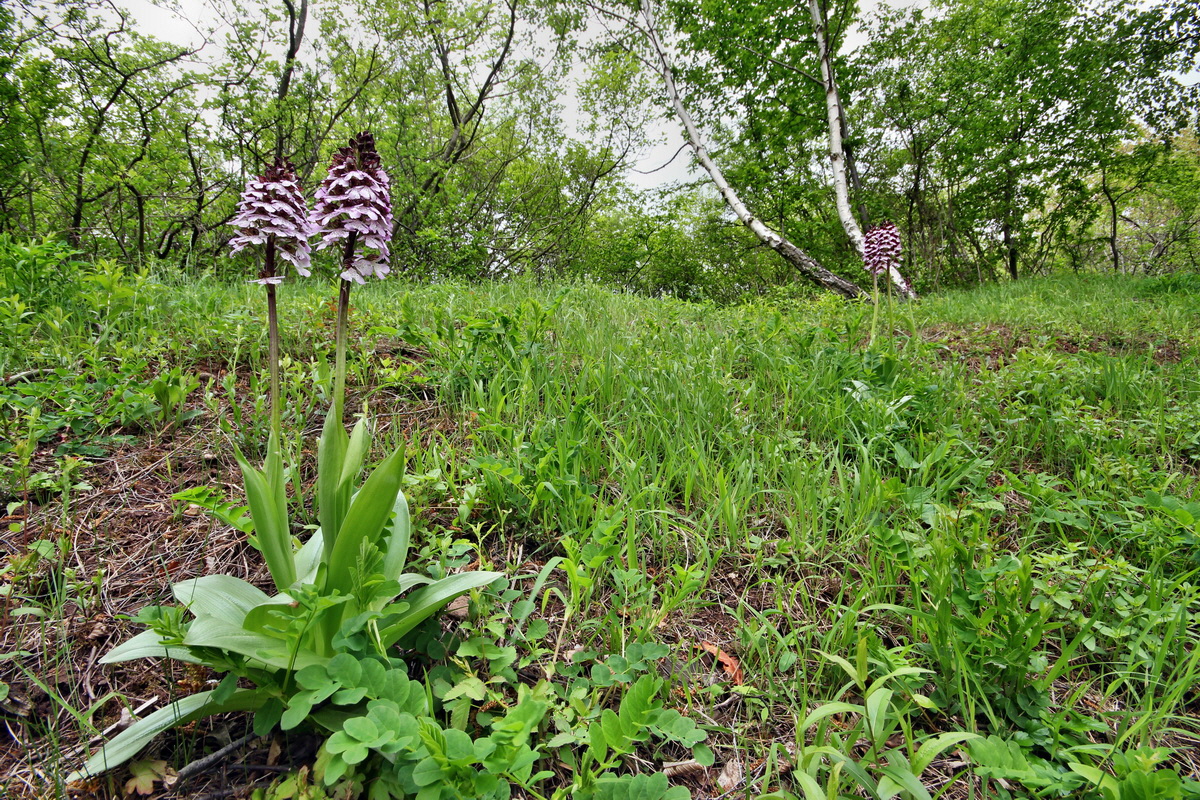 2013_05_13_00014071_Bildgr��e �ndern