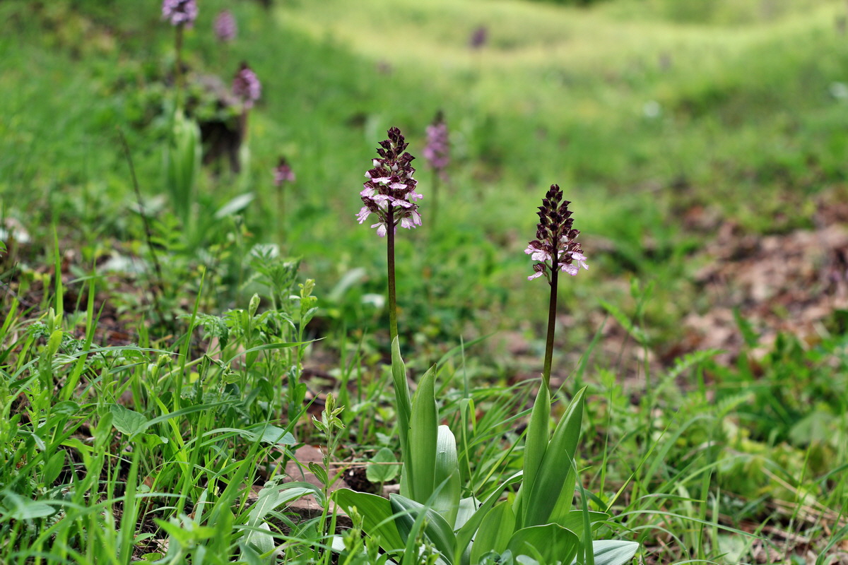 2013_05_13_00014104_Bildgr��e �ndern