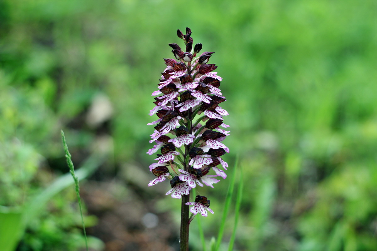 2013_05_13_00014108_Bildgr��e �ndern