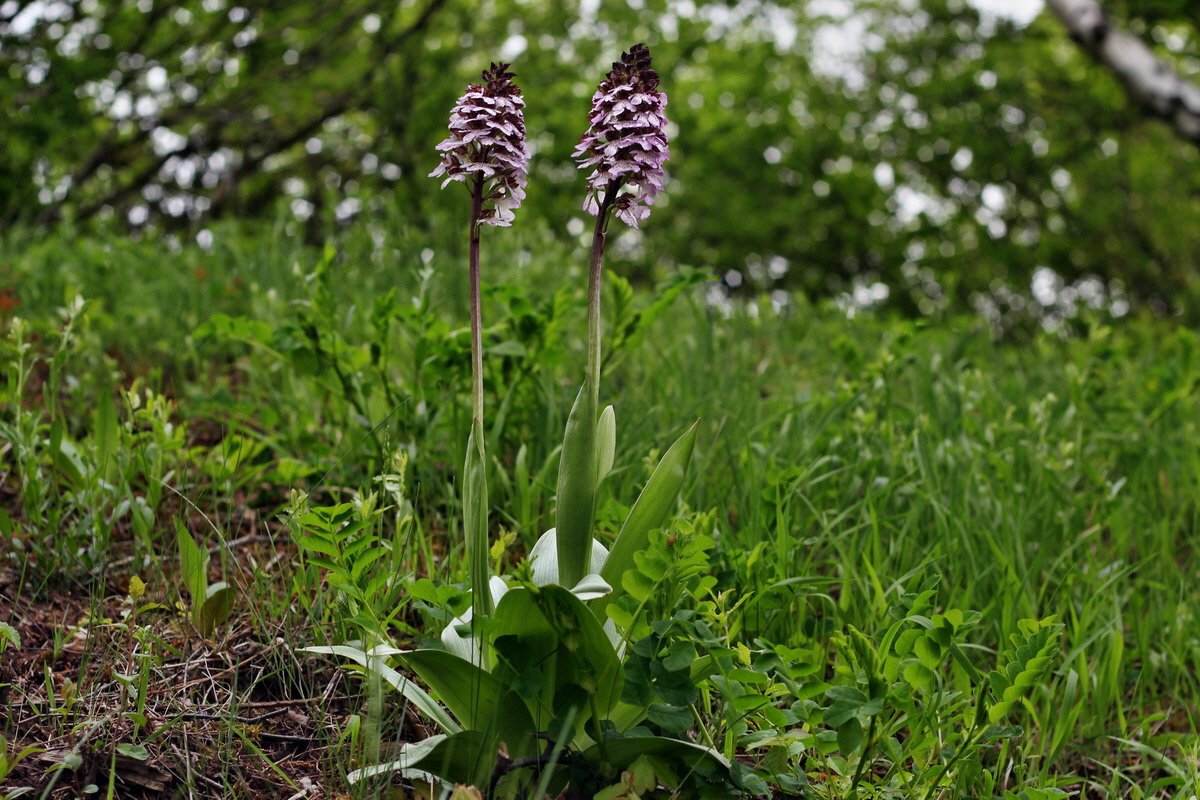 2013_05_13_00014115_Bildgr��e �ndern