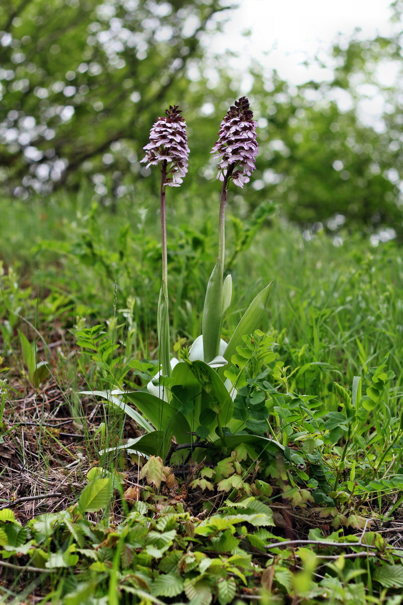 2013_05_13_00014124_Bildgr��e �ndern